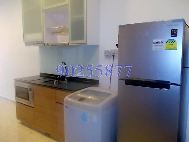 Suites @ Bukit Timah (D21), Apartment #155996412